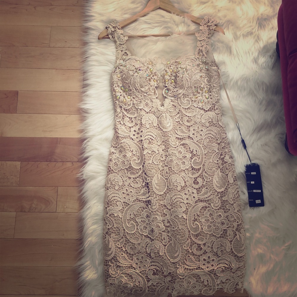 Beautiful Cinderella lace champagne dress